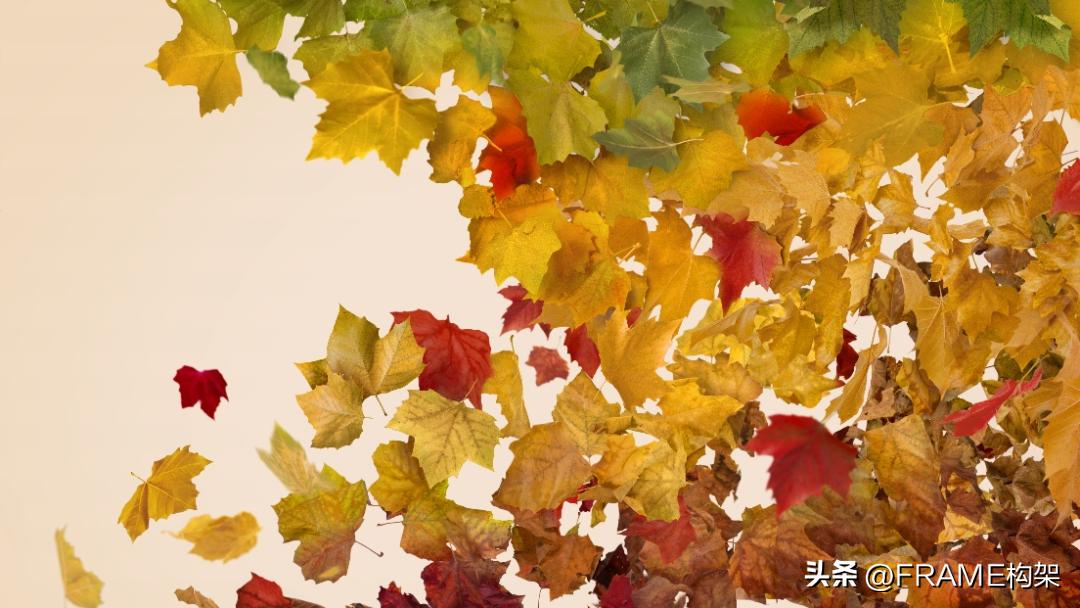 有品牌喜欢扎堆奢华商业地标,就有品牌偏爱小马路