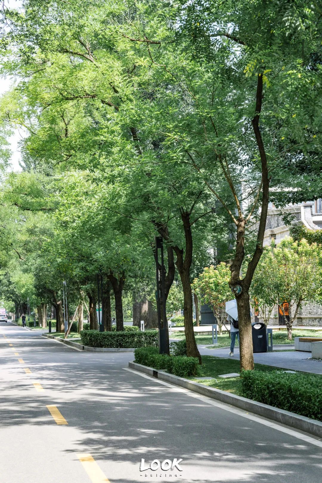 打卡500强喜爱的北京宝藏园区