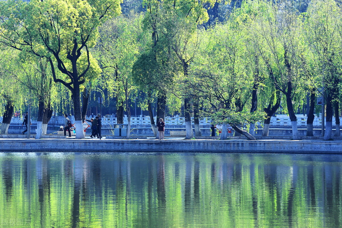 云南昆明春城游玩攻略,春城之约昆明旅游攻略