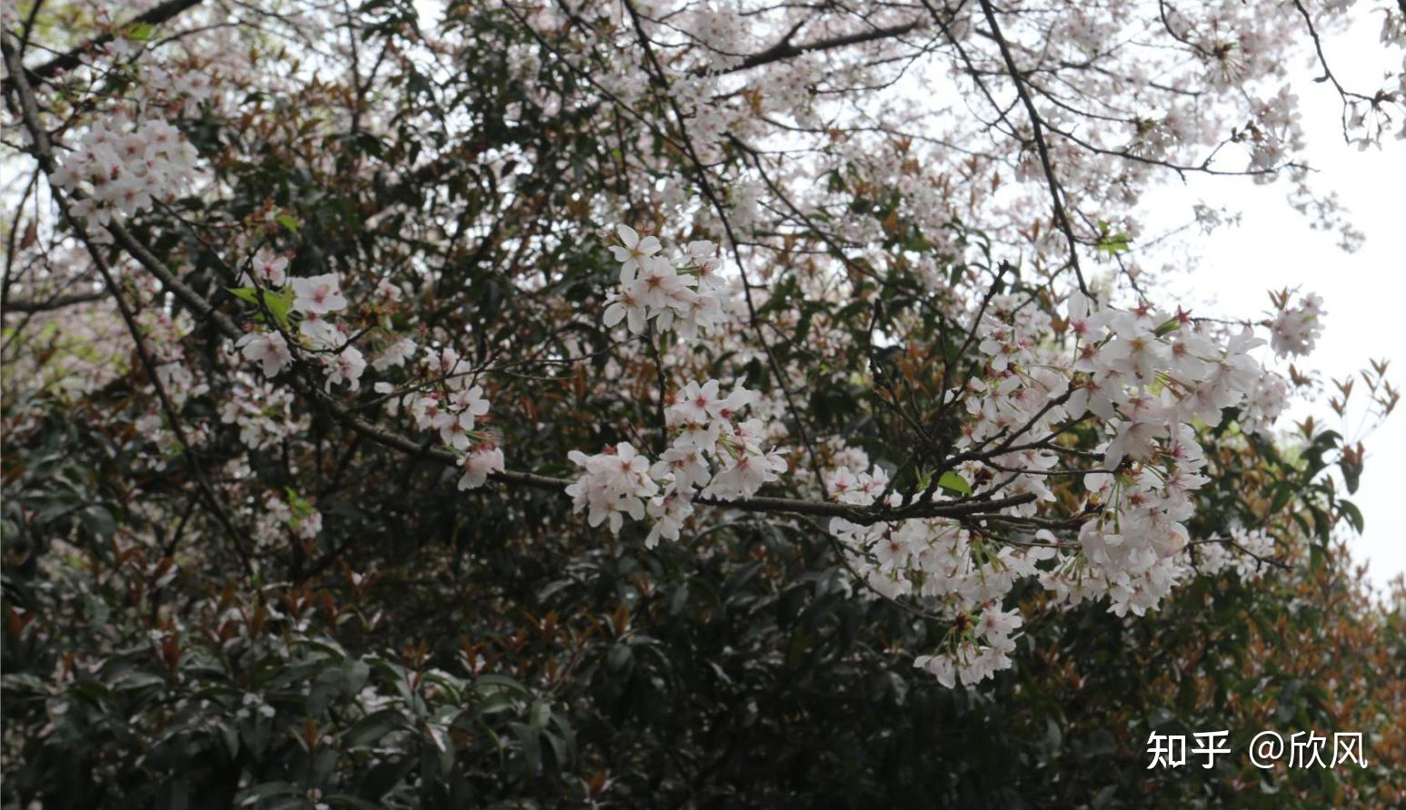 湖北十堰旅游攻略三日游,湖北到贵州三日游景点攻略图