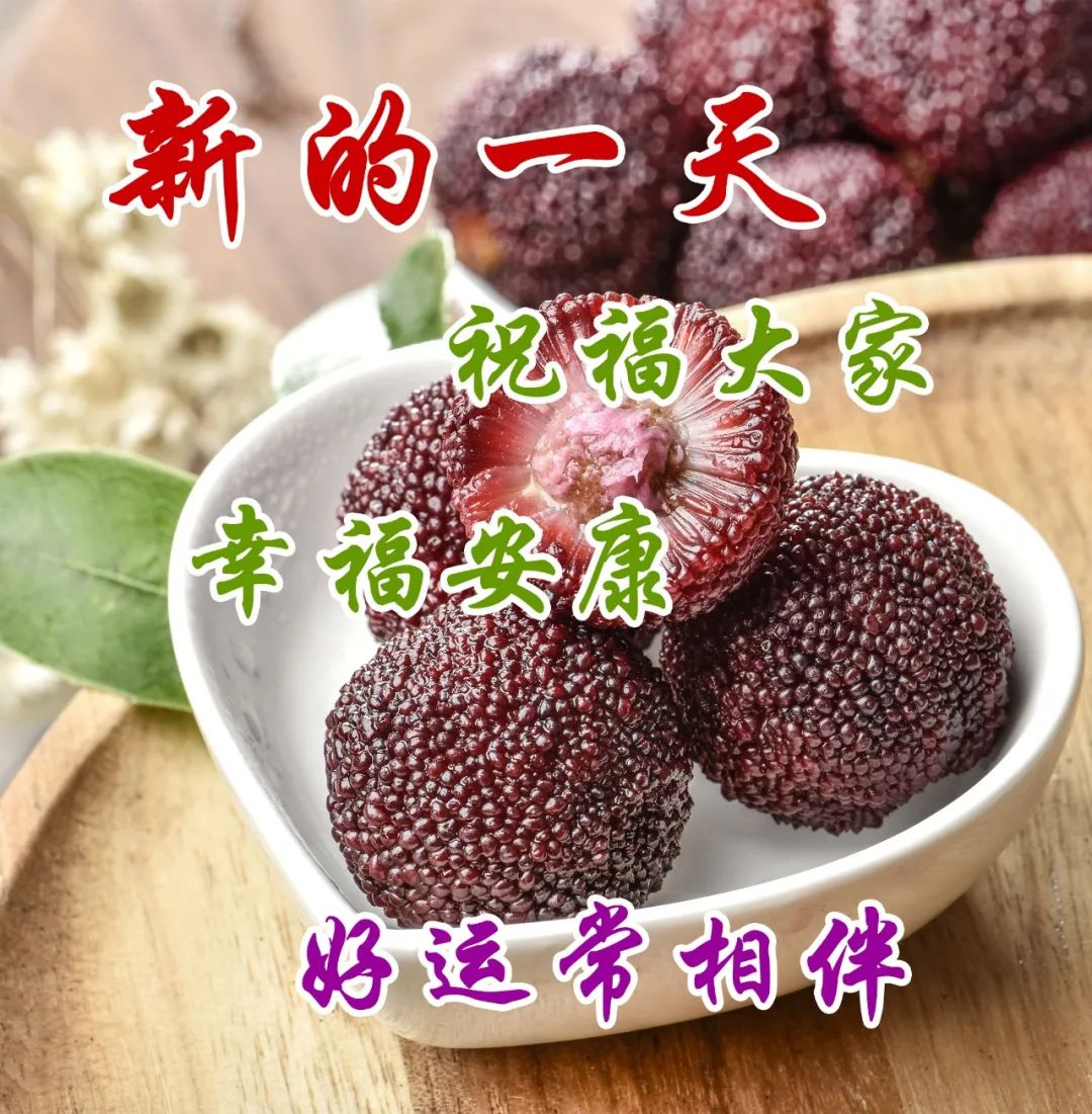 特别漂亮的早上好图片祝福问候语,早上好问候语祝福语带图片大全