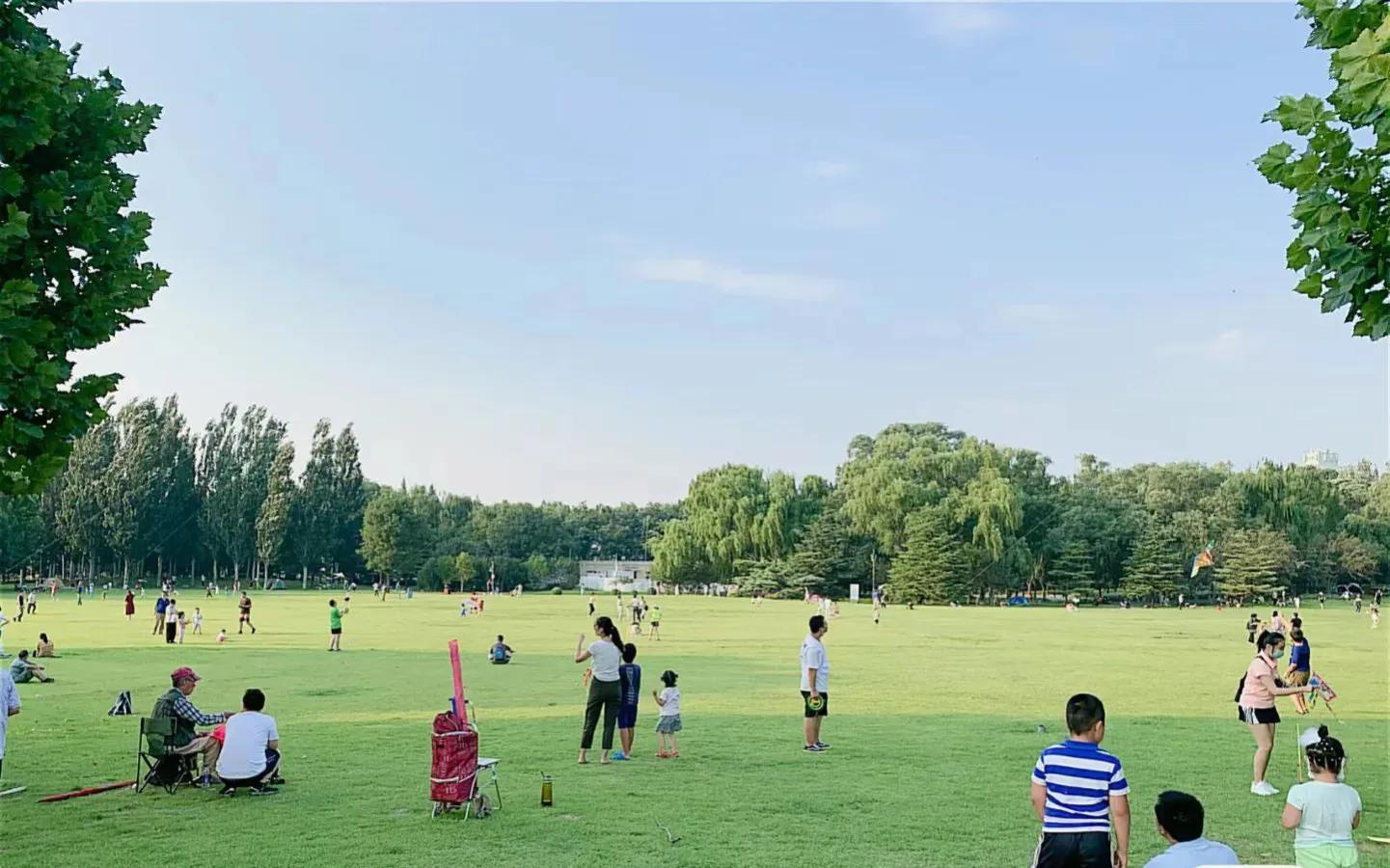 草长莺飞踏青去,草长莺飞适合去哪里