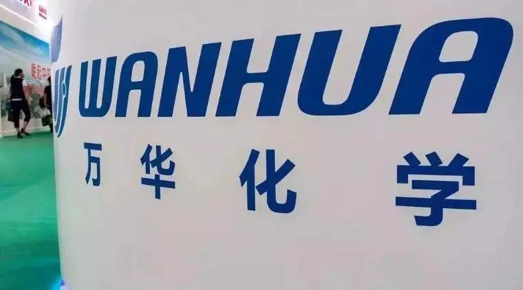 万华化学竞争力分析,丁建生持有万华化学多少股票