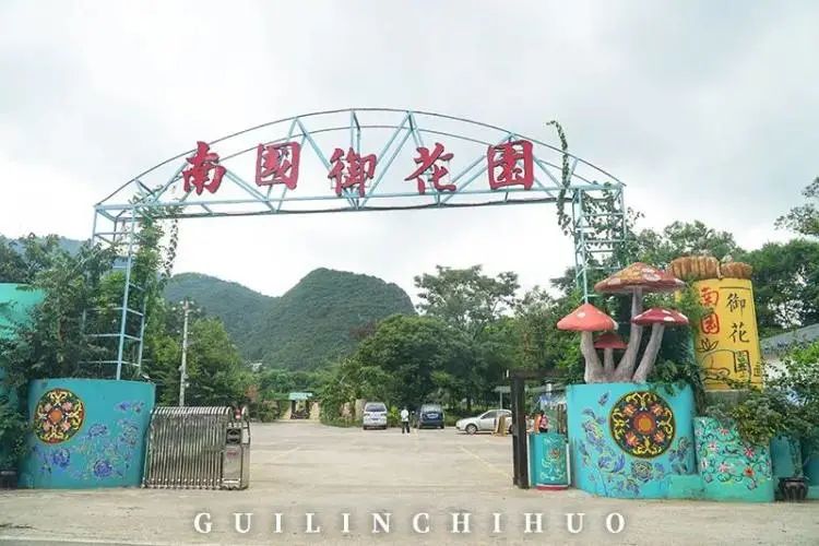 一鱼7吃！11斤以上大活鱼现做！桂林市郊这处田园秘境太会做了！