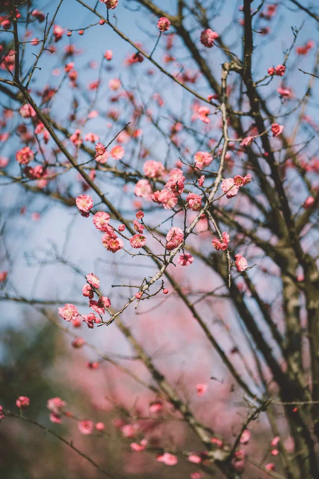 美美美，在阳光灿烂的成电遇见你~