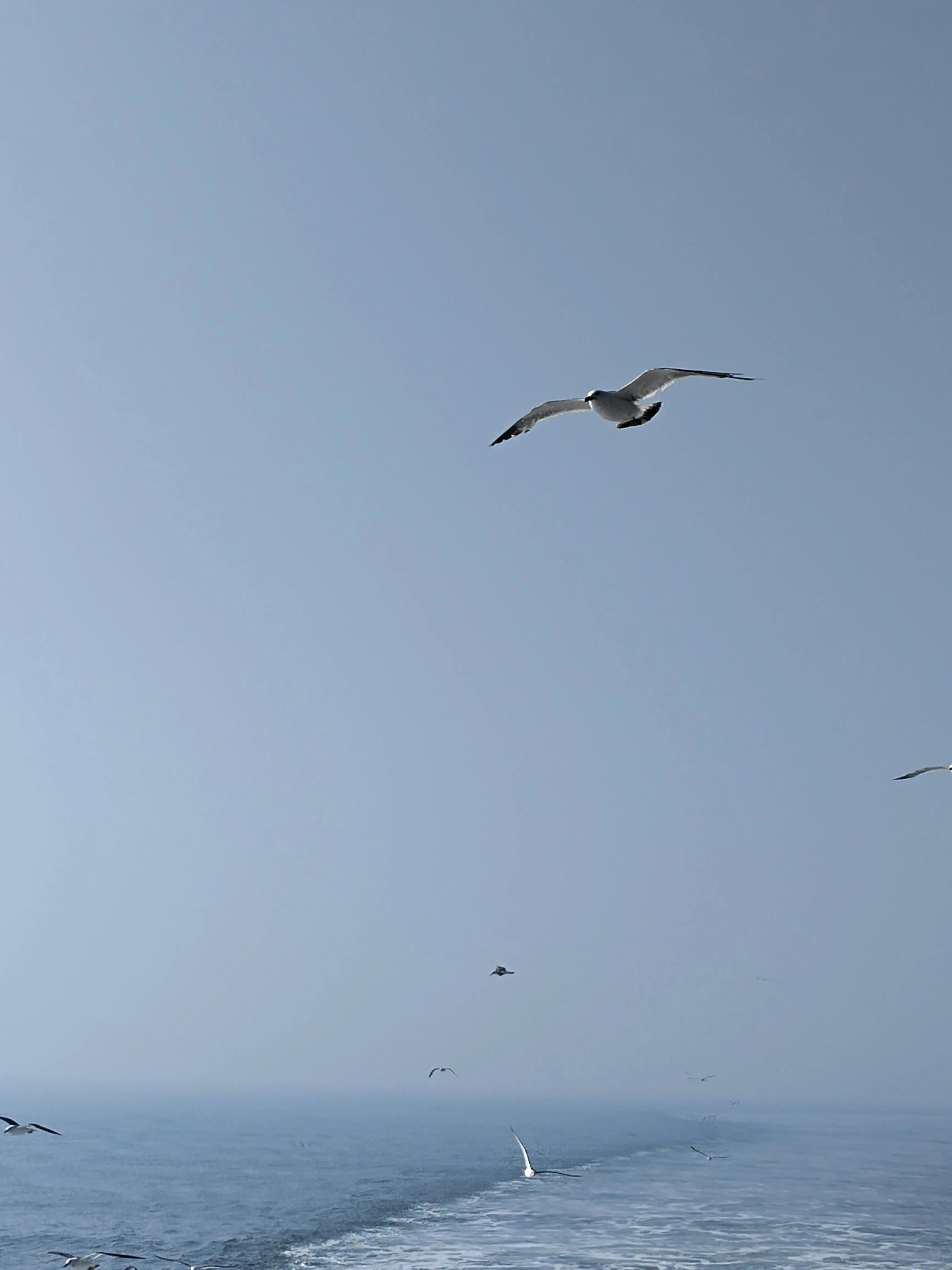 长岛旅游九丈崖,长岛一日游烟台的海