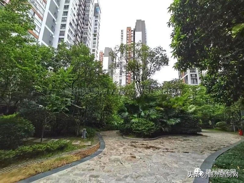 赣州房子天花板,赣州小区天花板