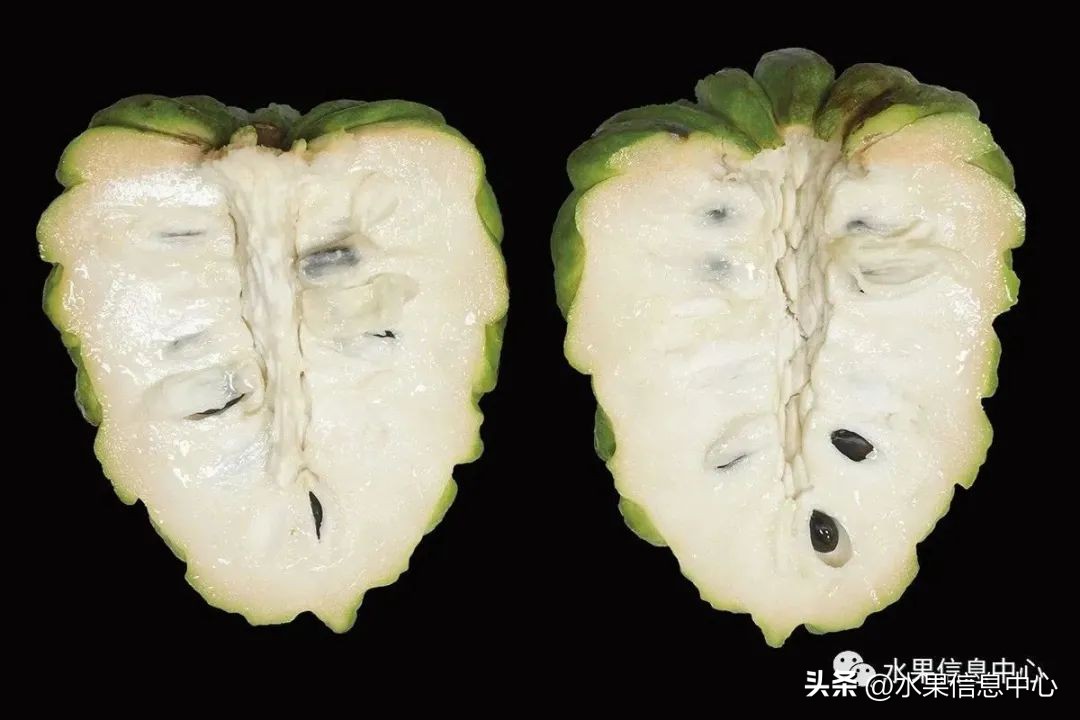 榴莲释迦又叫什么,释迦图片高清大图