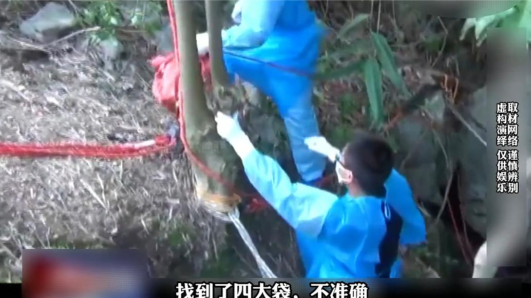 广西杀人碎尸案真实案例,广西杀害三姐妹碎尸案