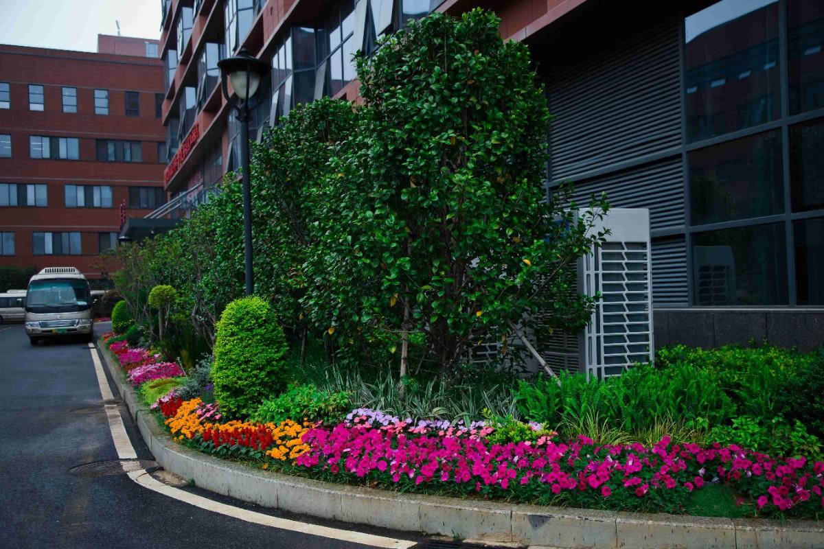 南昌大学第一附属医院象湖分院发展,南昌象湖第一附属医院周边规划