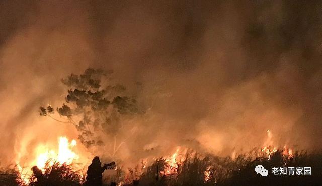 梁晓声知青小说,梁晓声知青全文