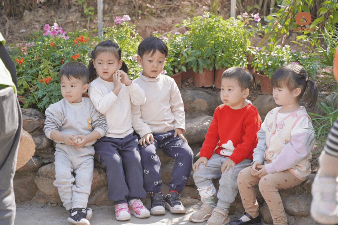 孩子上全托班的最佳年龄,幼儿刚上托班适合上什么课程