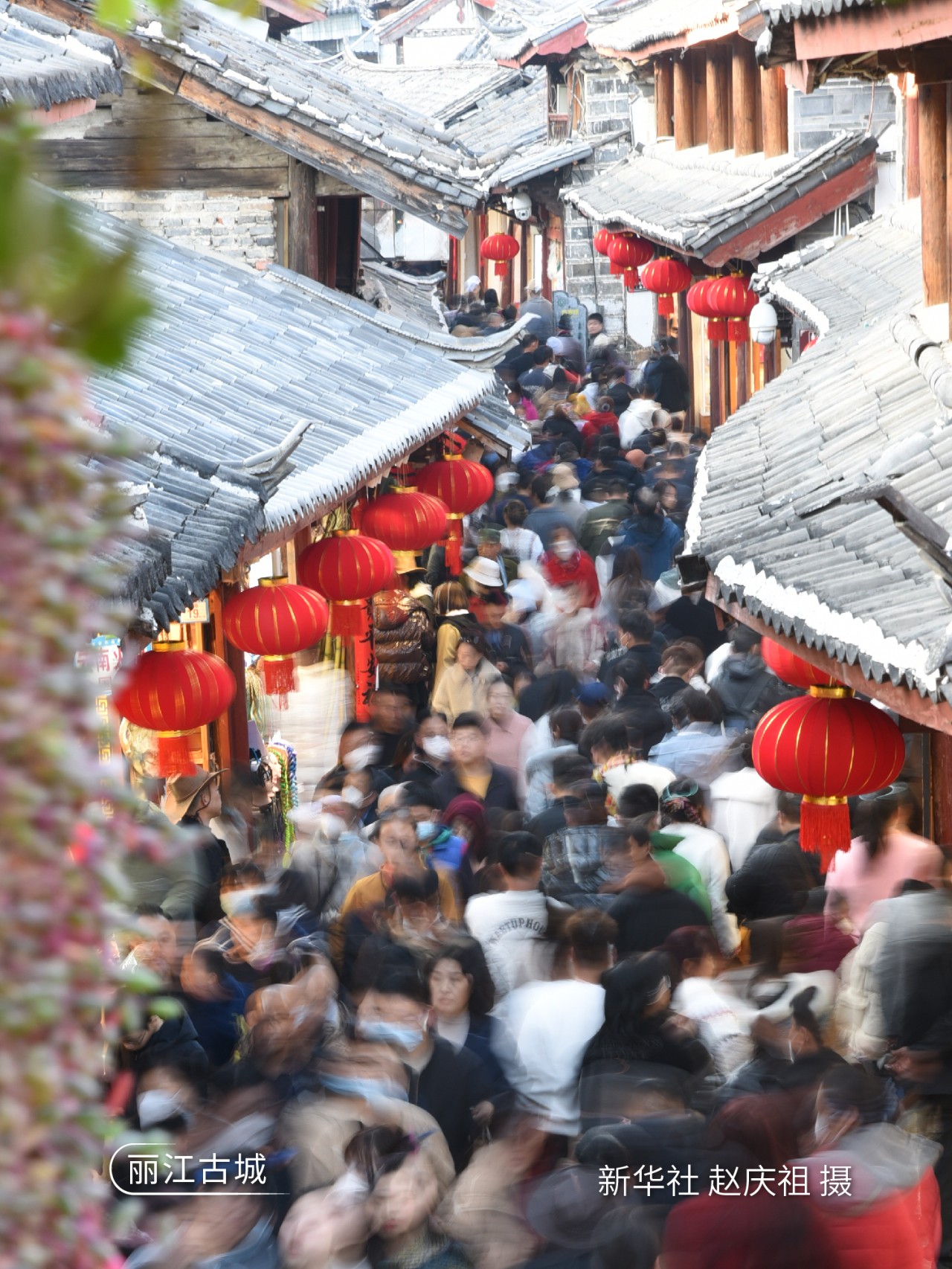 云南世界花园视频,云南世界花园