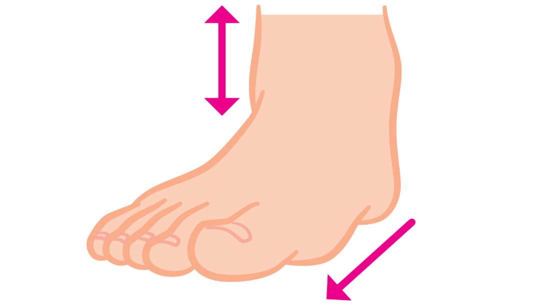 锻炼脚底跟腱的方法有哪些,足部跟腱拉伸的好处