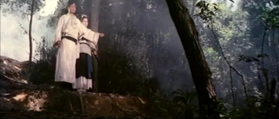 锵锵三人行徐浩峰师父,徐浩峰三部曲解读