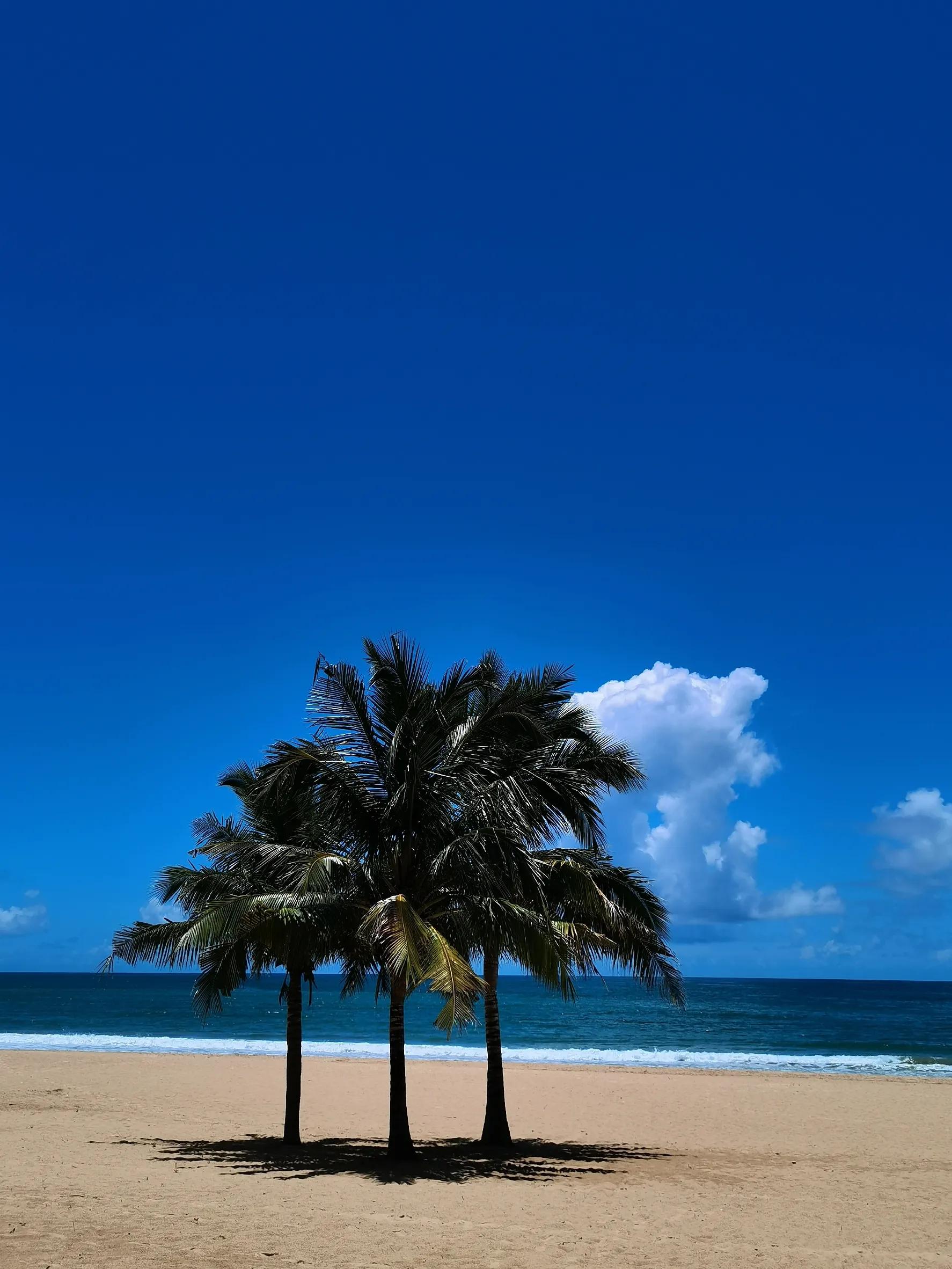 三亚旅游值得去吗现在,三亚旅游值不值得去