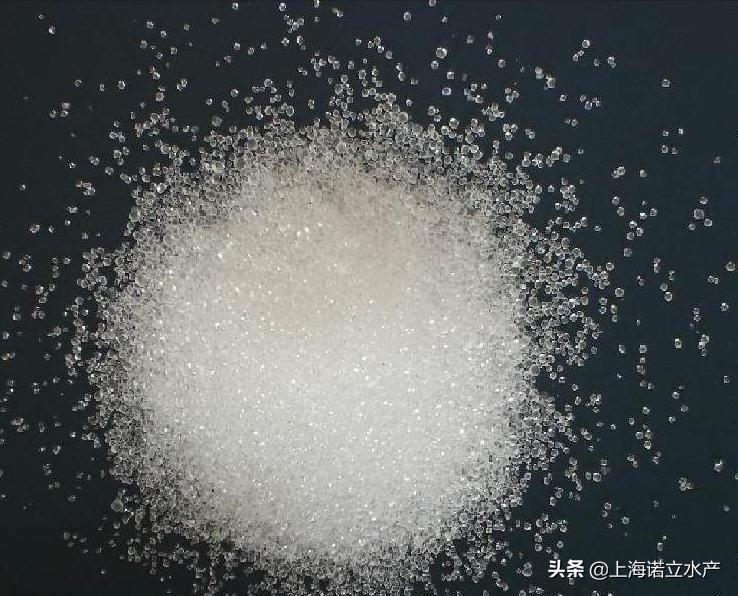 虾塘出现大量死藻怎么办,养虾吹东风倒藻咋处理