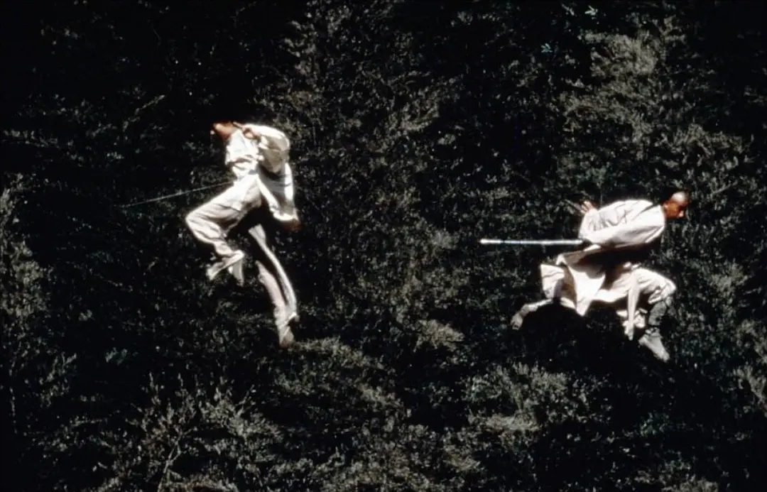 国内公认十大最好看的动作片,一生必看十部华语经典动作片