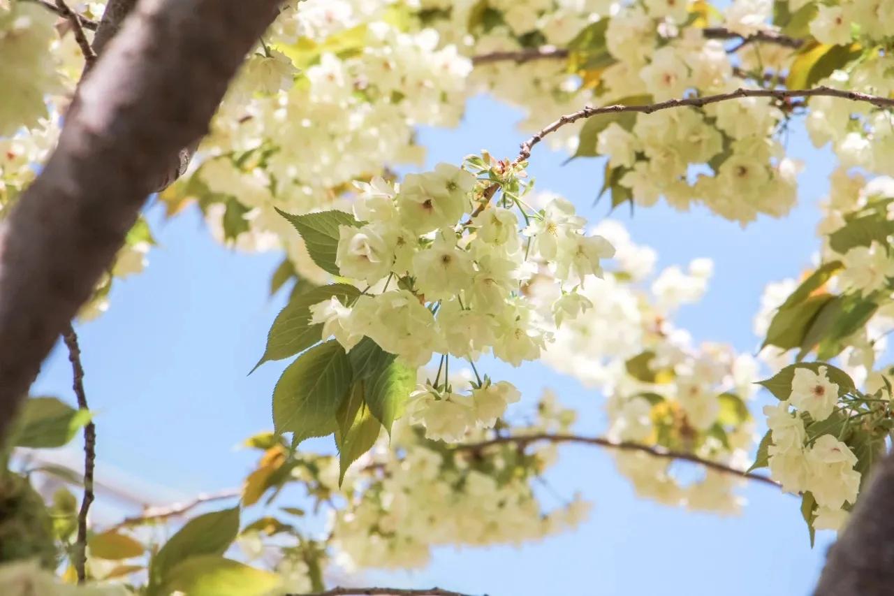 做临时工被拖工资怎么办,体制内临时工被安排很多活怎么办