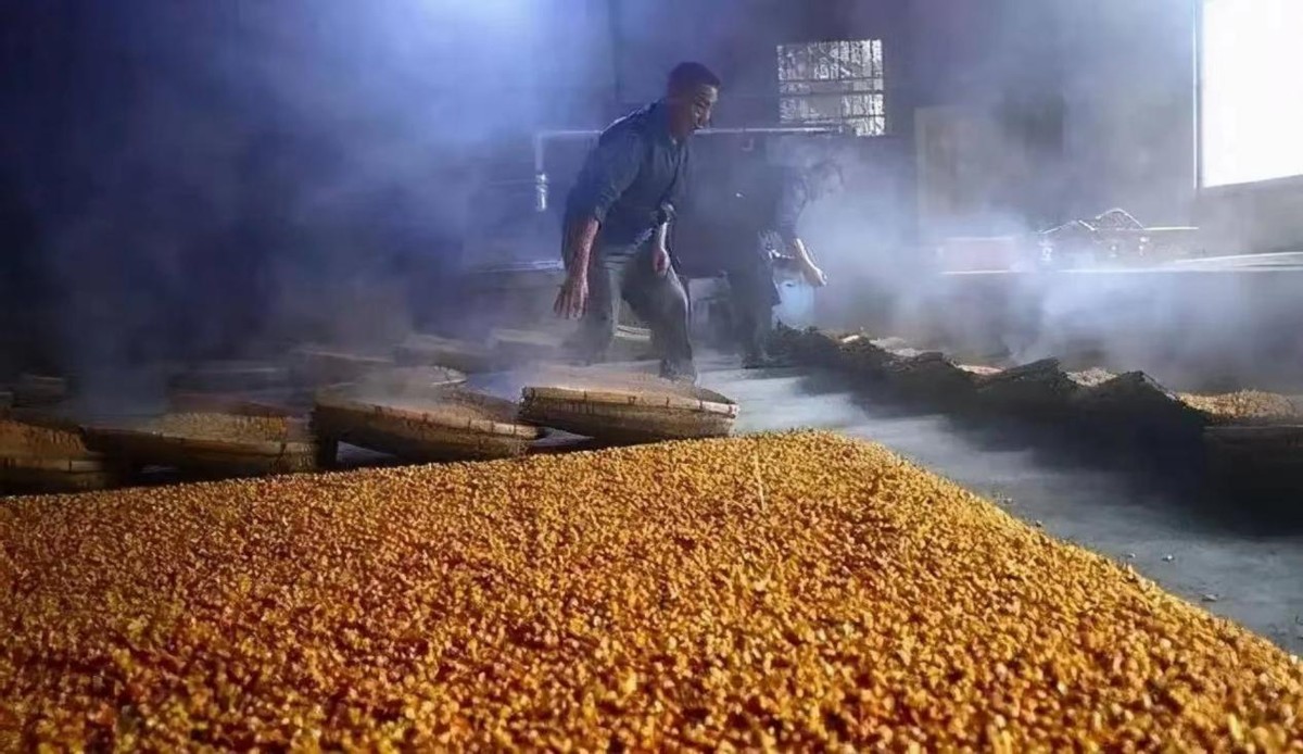 广西老人自酿白酒,广西老人喝自制酒出事