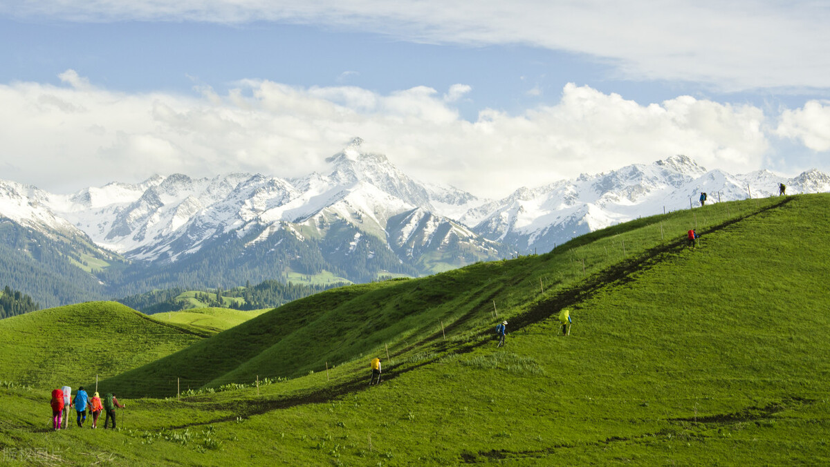 不到*疆新**，不知中国之大，不包邮的*疆新**到底有多大？