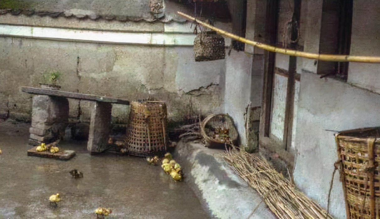 20张珍贵老照片图片,50张老照片里的旧时光