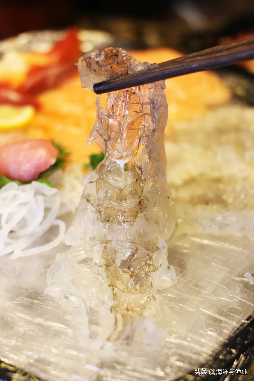 中国渔业海鲜之都,海鲜水产哪几个地方最出名