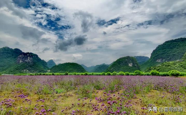 广西南宁上林景点旅游推荐,广西南宁上林游玩