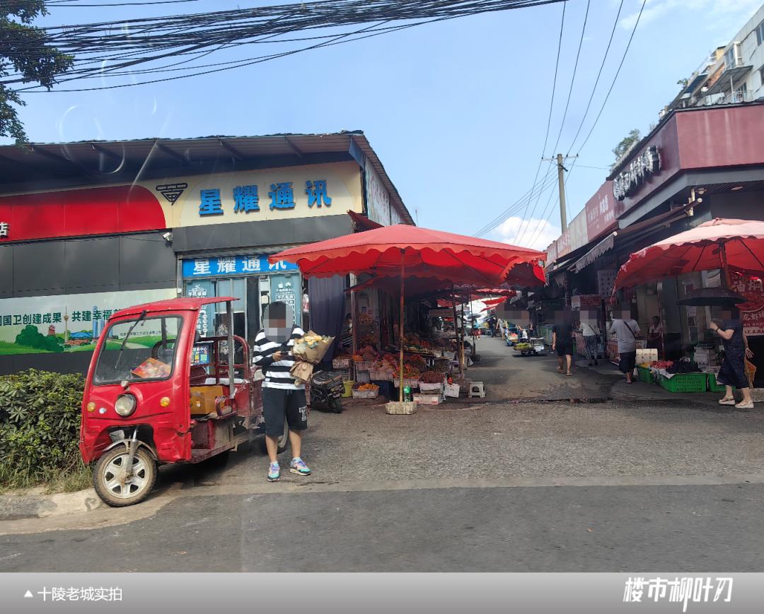 成都武侯新城板块,成都主城区板块分析最新