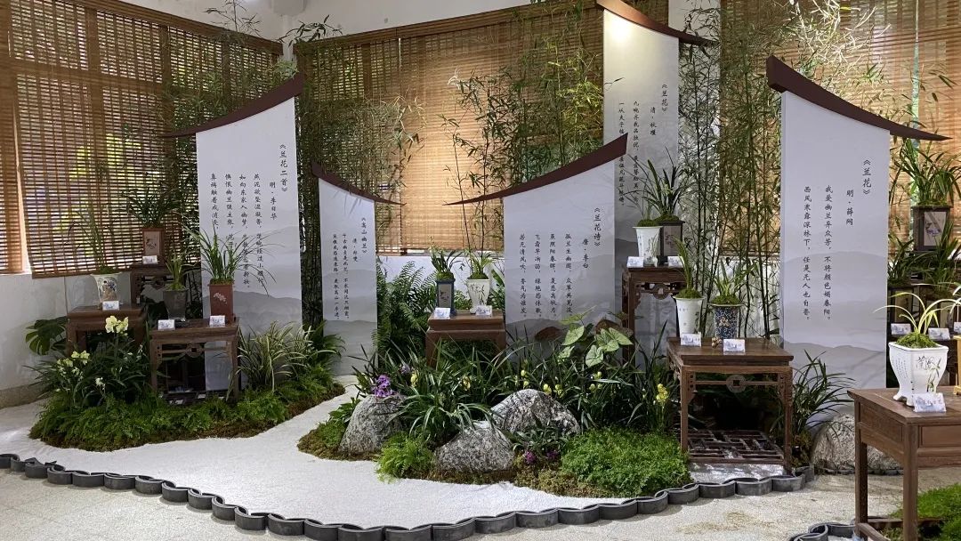 厦门花海景点最新,厦门最近的花海