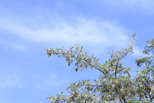 这十个习惯真的会让皮肤变好,皮肤变好的习惯男生