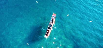 避暑游必去的地方,避暑推荐旅游攻略