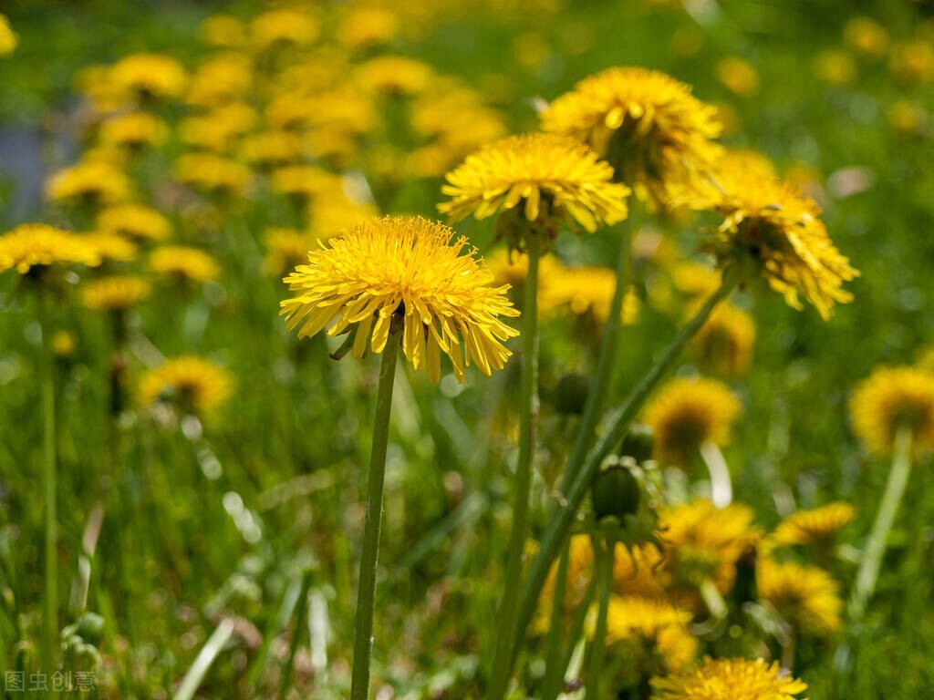 千古绝唱古诗词36首,十八首绝美古诗词名句