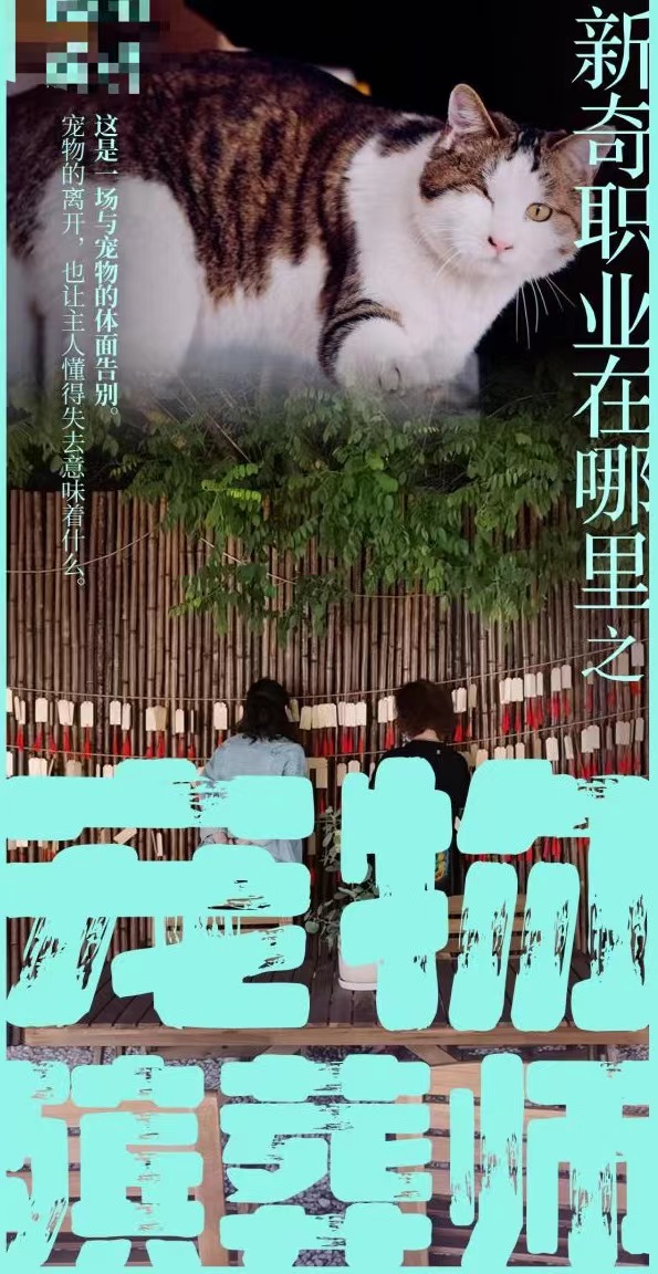 00后都选择了什么职业,00后男生职业选择