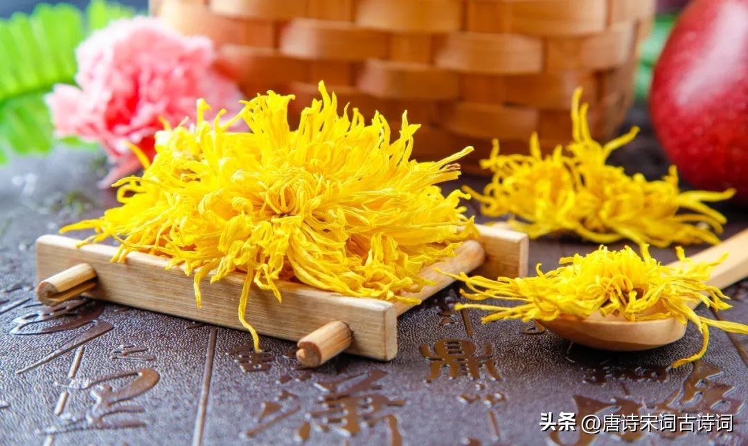 鑿婅晩鍌查湝鍥剧墖,鍌查湝绉嬭強璇楄瘝