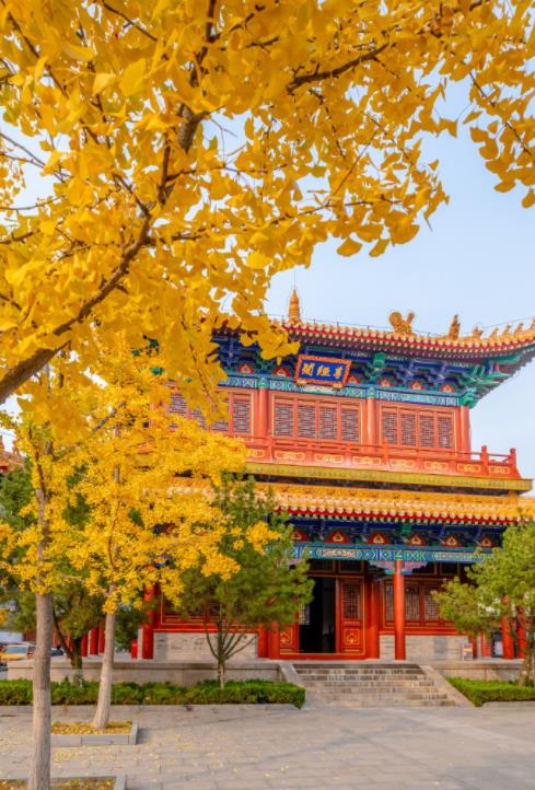 济南必打卡之地金秋时节,济南冬季打卡旅游胜地