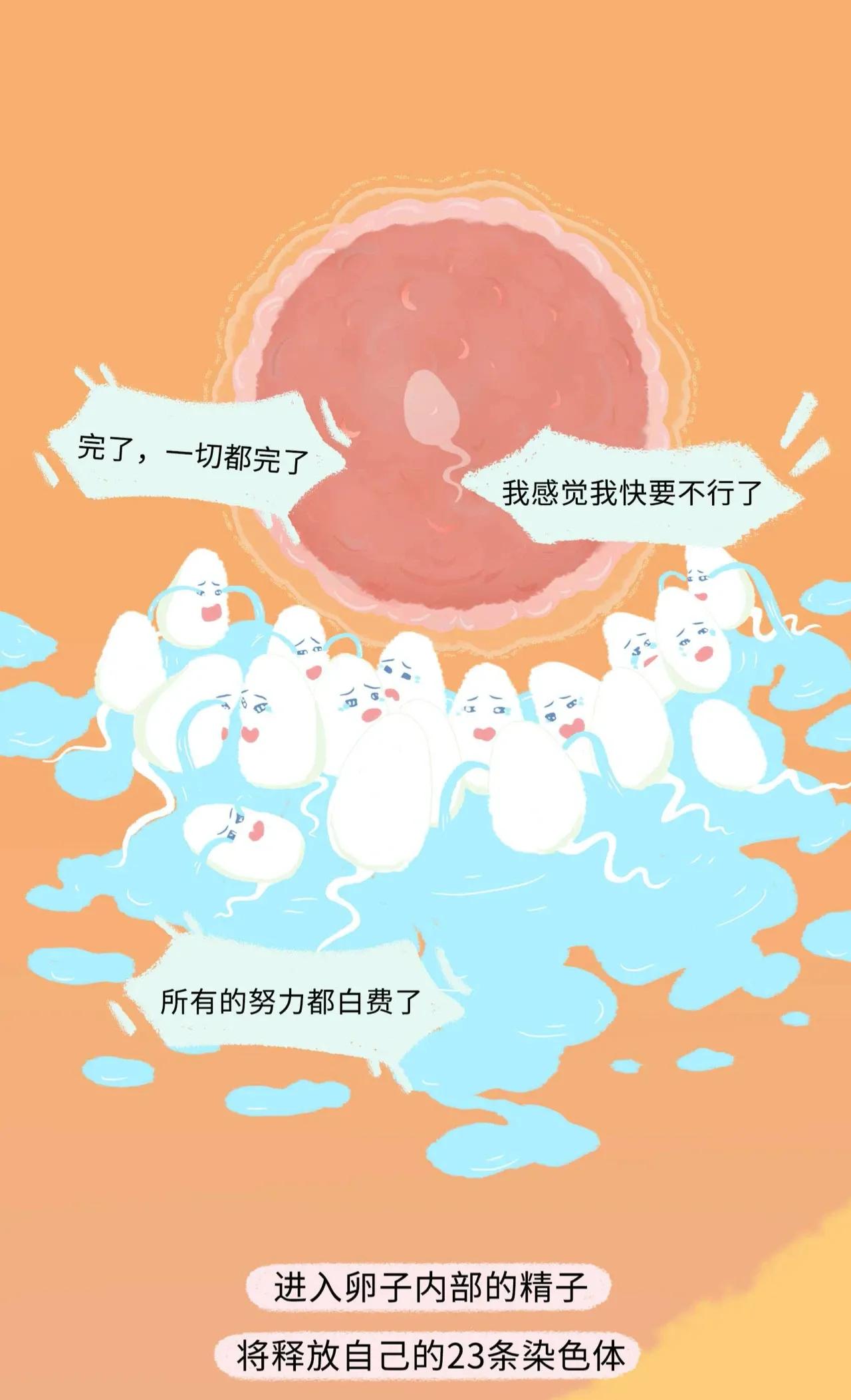 精子进入女生体内的全过程