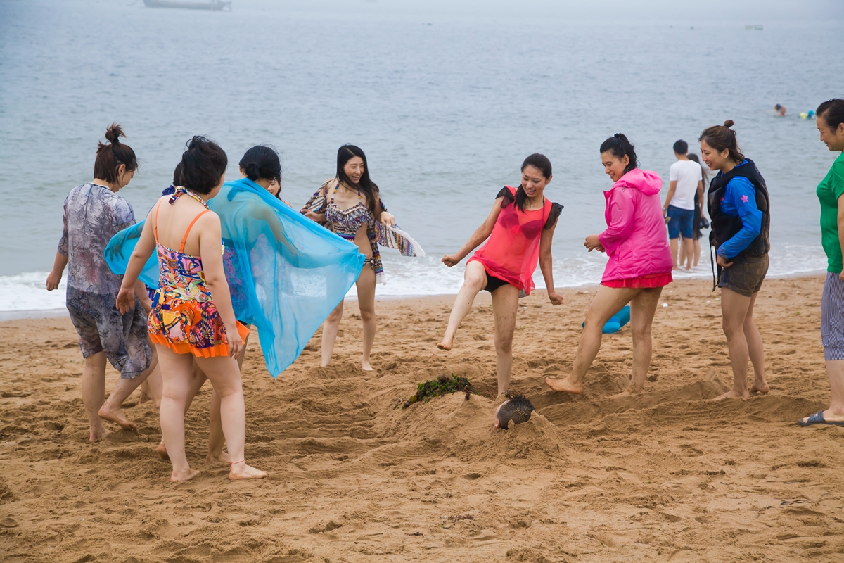 中国适合养老的海滨城市排名,中国最宜居气候最好十大城市