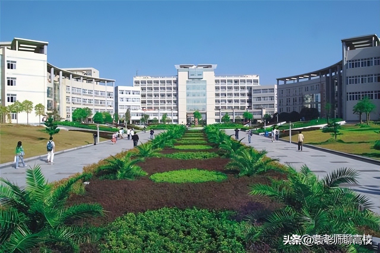 三峡大学和长江大学竞争双一流,三峡大学和江汉大学文科