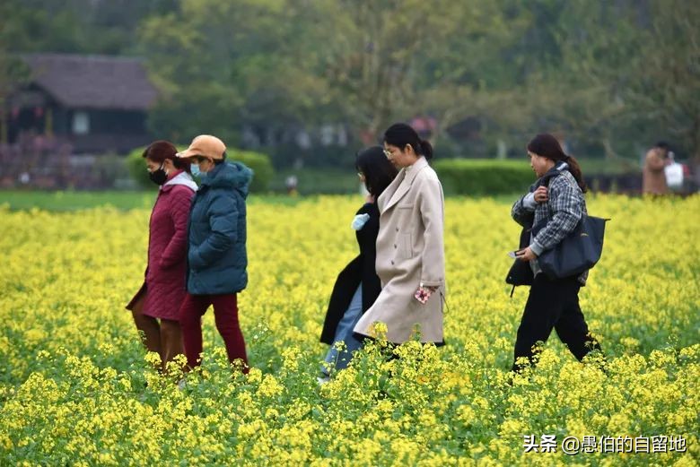 东航mu5735航班失事的最新消息,东航mu5735航班失事地点最新情况