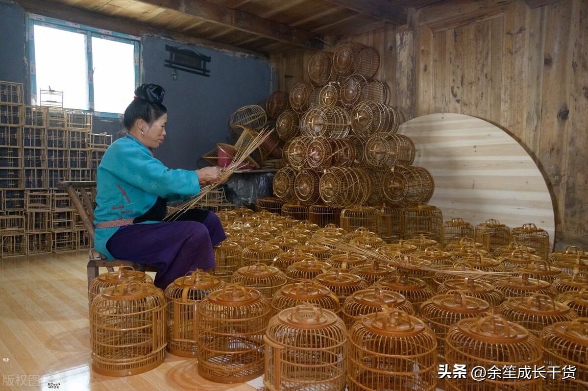 2024年做什么行业赚钱有前景,现在最吃香的行业有哪些比较赚钱