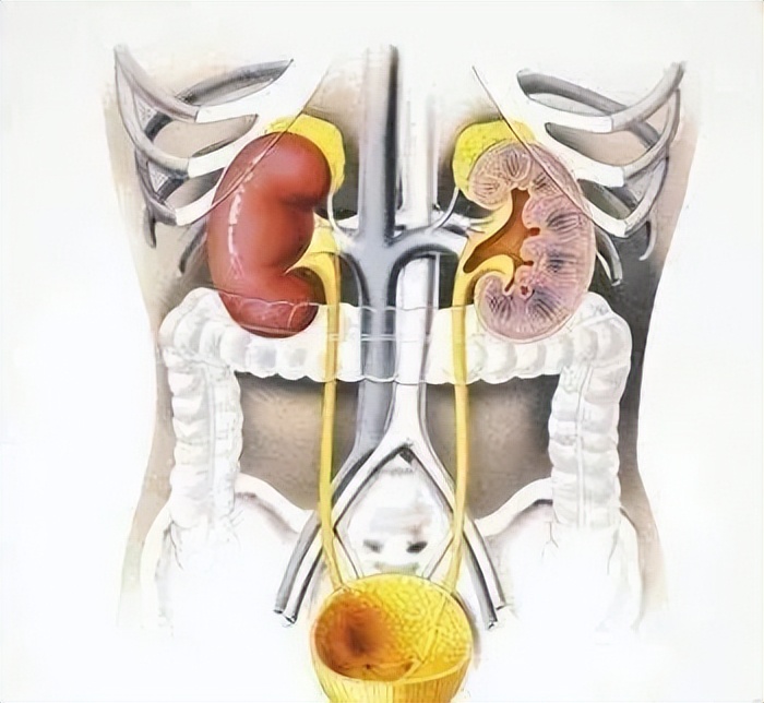「精英荟医生招聘」医学生选择哪个科室最吃香？