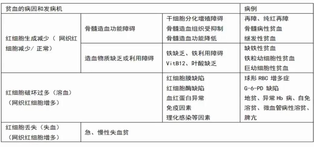 贫血科普视频怎么做,贫血是常见病吗
