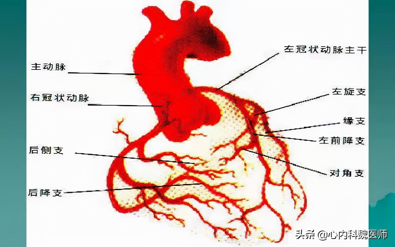 心肌缺血吃什么药效果更好,心肌缺血一般吃什么药可以缓解