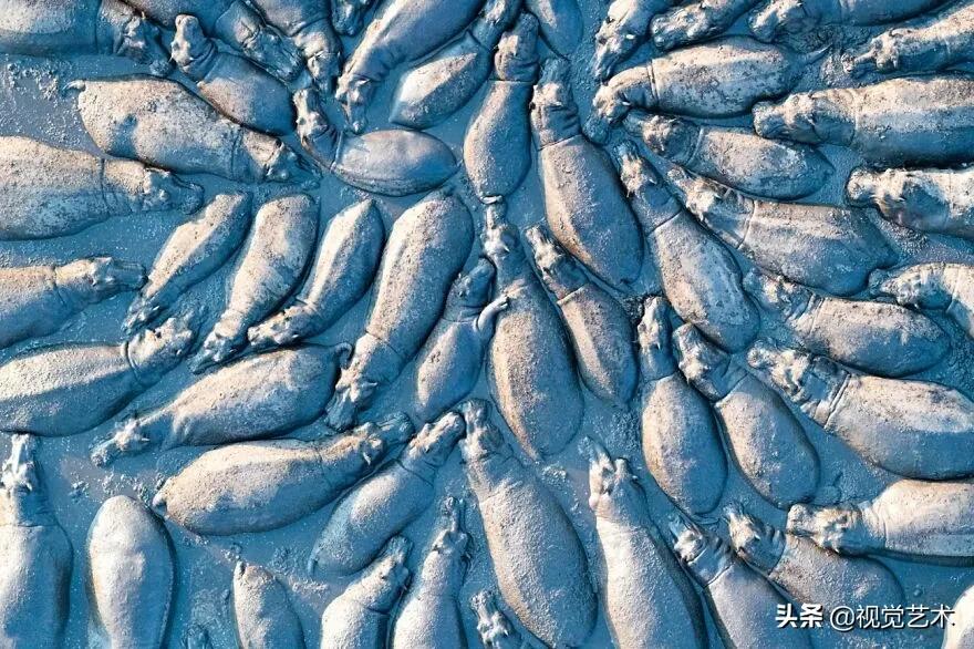 2021年无人机影像大赛冠军,2018年中国无人机摄影大赛第二名