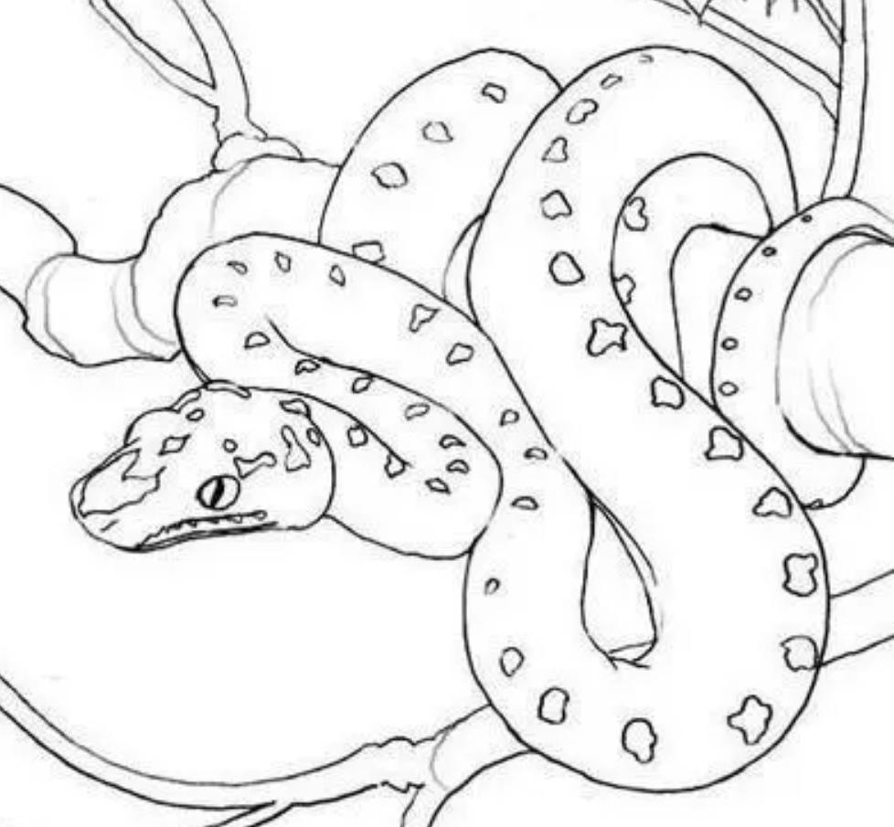 被蛇吞了肚子的科学实验,被蟒蛇吞下的24小时实验