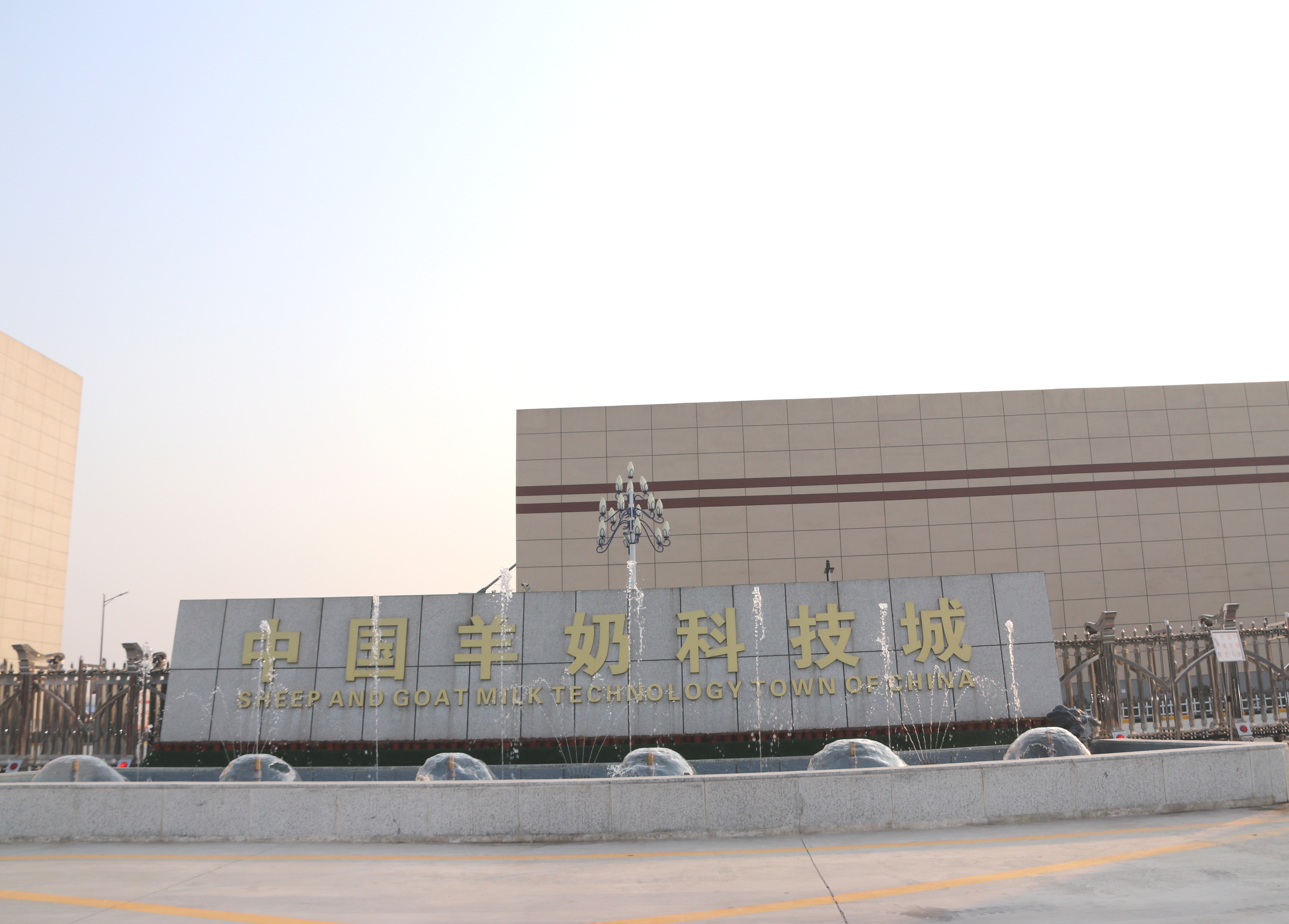 张鸽,张鸽羊奶霜怎么样