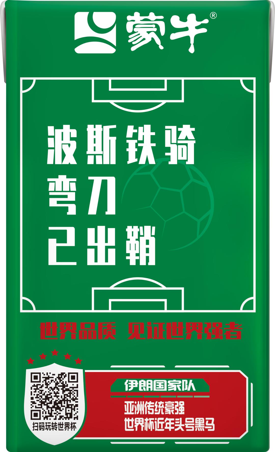 世界杯队长纪录片b站,国家队队长的故事