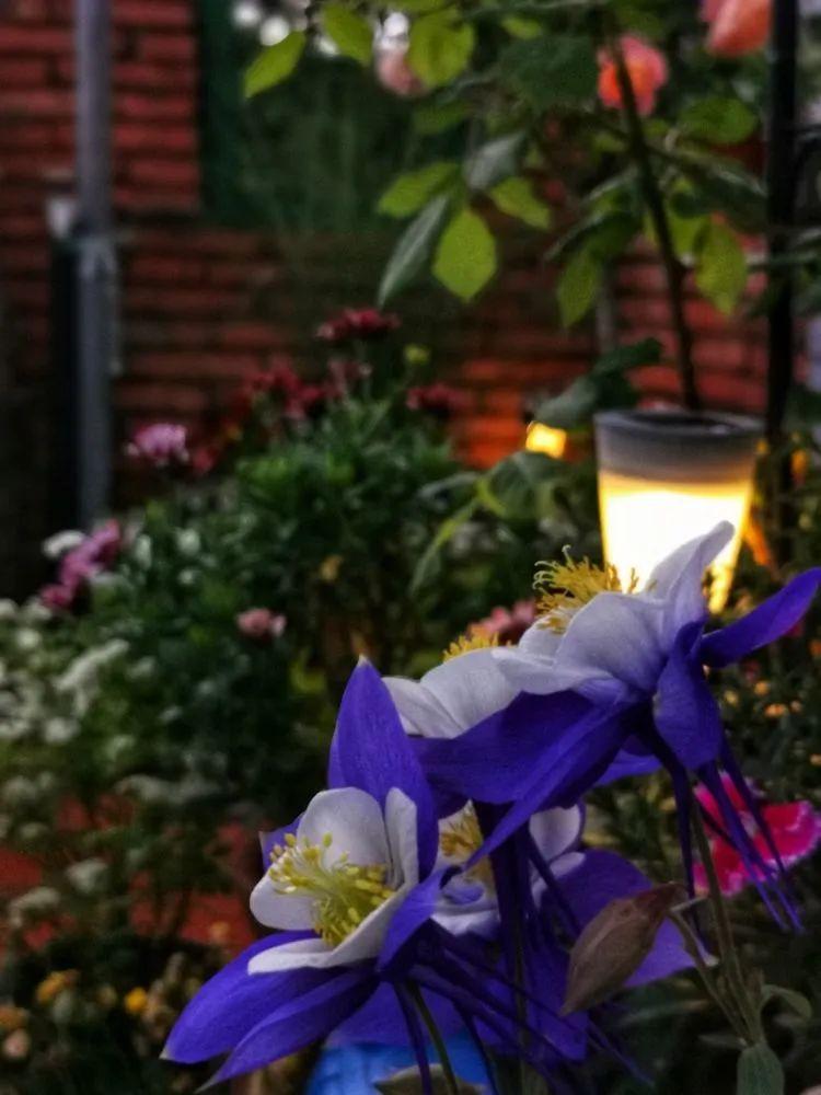 两家共用一个平台怎么解决,两家共用一堵墙发生矛盾怎么处理