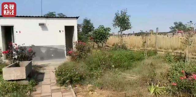 脚踩土坑酸菜？厕所风味粉条？315照妖镜这次又照出了谁？